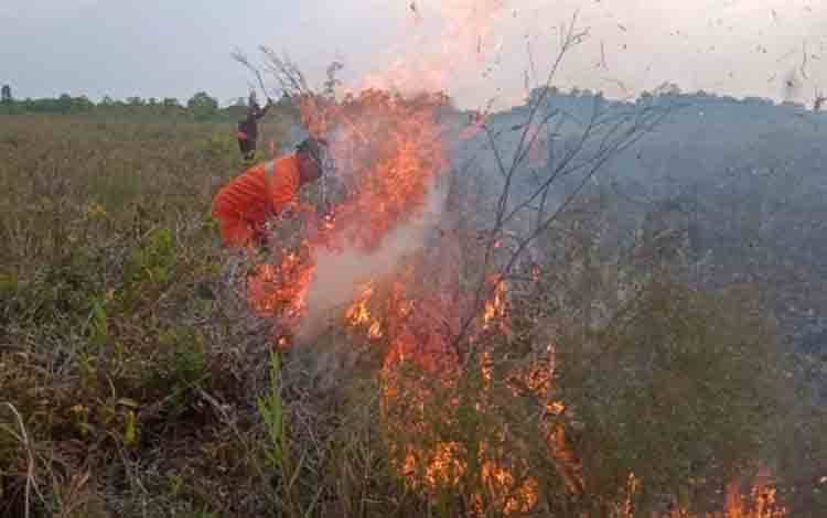 Lahan Seluas 15 Hektar Area Perbatasan Desa Teluk Bogam dan Sungai Bakau Hangus Terbakar