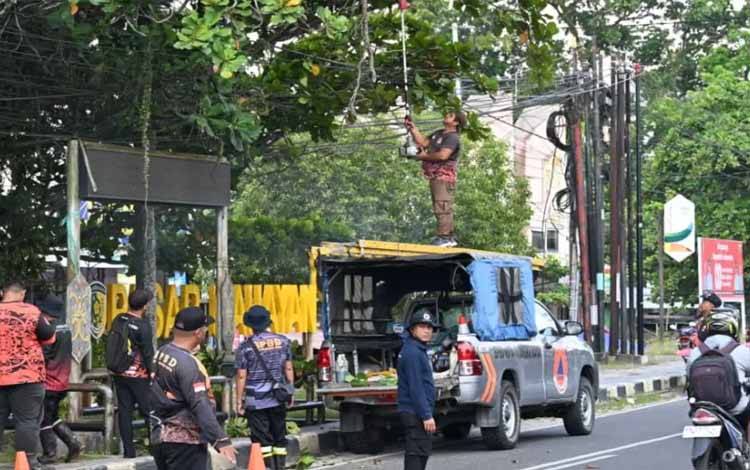 BPBD Palangka Raya Tangani Ranting Pohon Rawan Tumbang di Jalan Tjilik Riwut