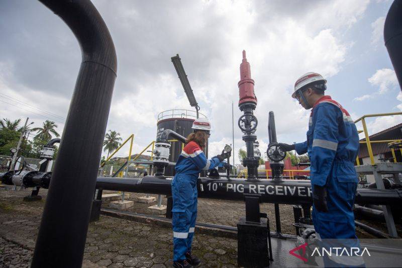 Next Indonesia Nilai Perlu Perluasan Jaringan Gas untuk Tekan Subsidi LPG