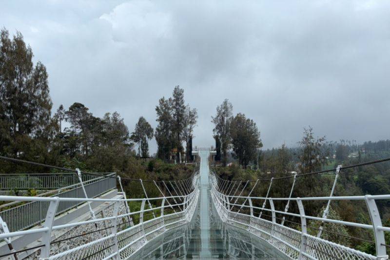 Penampakan Jembatan Kaca di kawasan wisata Gunung Bromo yang menghubungkan antara Seruni Point dengan shuttle area pemandangan Gunung Bromo, Gunung Bathok, dan Gunung Semeru. ANTARA/HO-Balai Besar TNBTS