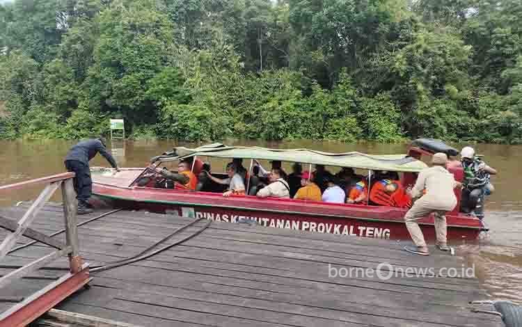 Kalteng Miliki Potensi Perkebunan dan Kehutanan yang Luar Biasa