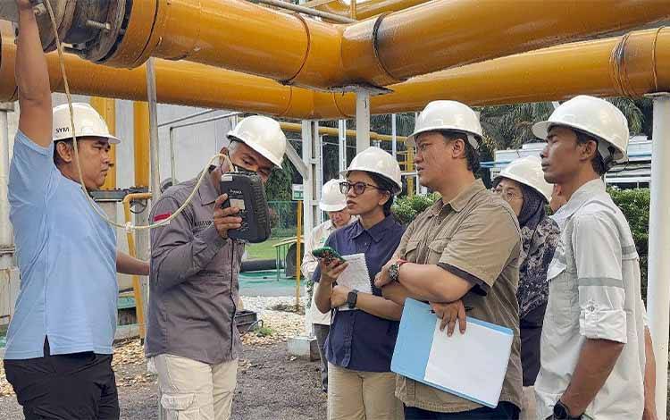 Dari Hutan ke Panel Surya: Jalan Hijau Kalteng Menuju Masa Depan Berkelanjutan