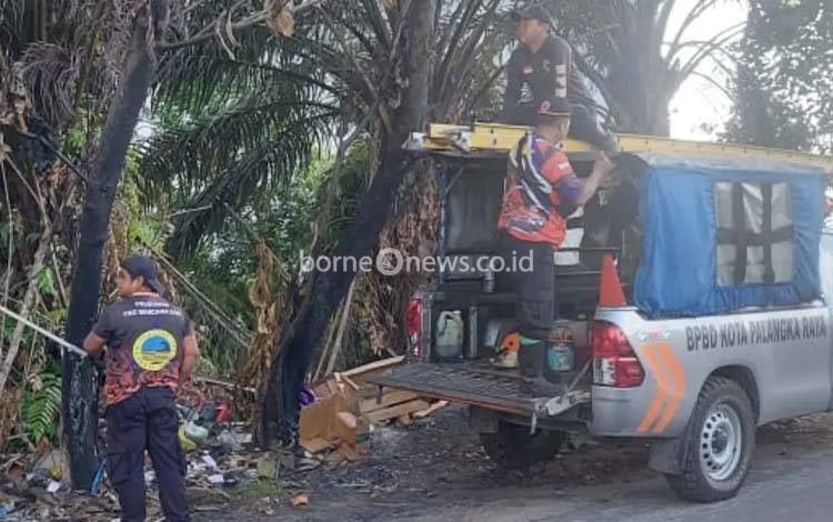 TRC BPBD Palangka Raya Tebang Pohon Rawan Tumbang di Jalan Karanggan