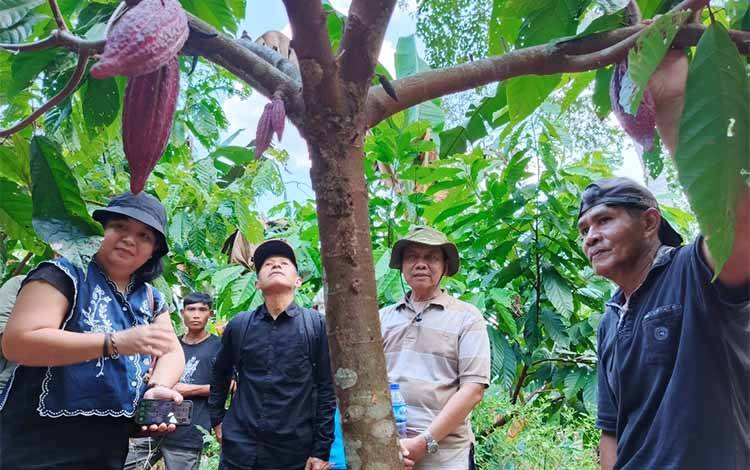 Rehabilitasi Hutan Lewat Kakao dan Agroforestry: Kolaborasi LPHD dan BGA di Kalbar