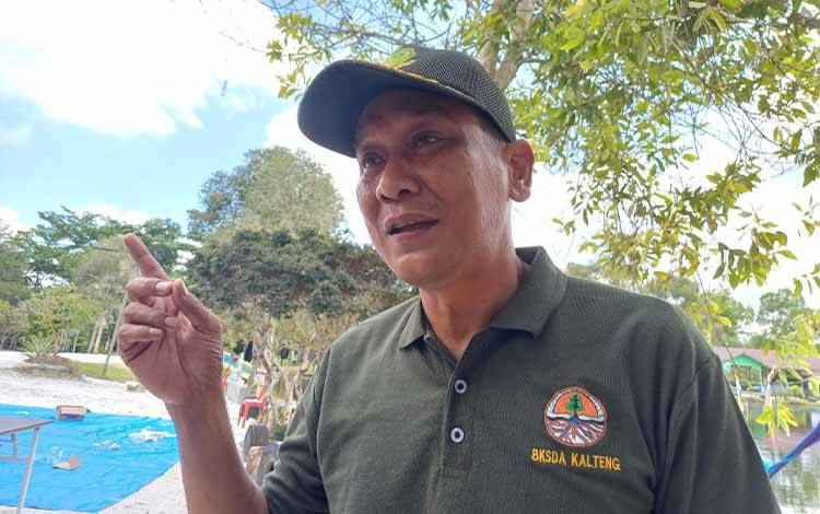 BKSDA Desak Pemkab Kotim Bentuk Tim Khusus Tangani Konflik Buaya yang Kian Marak