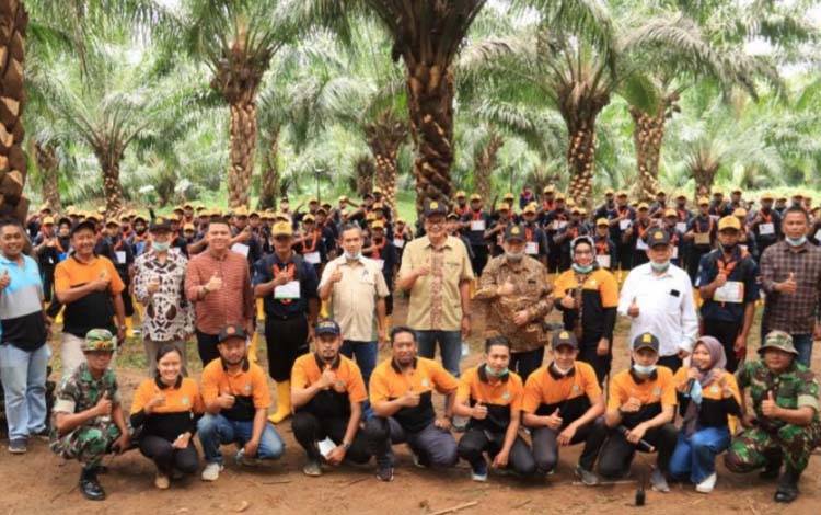 Kemendag: Harga CPO Naik Tipis Dipicu Rencana Penerapan B50