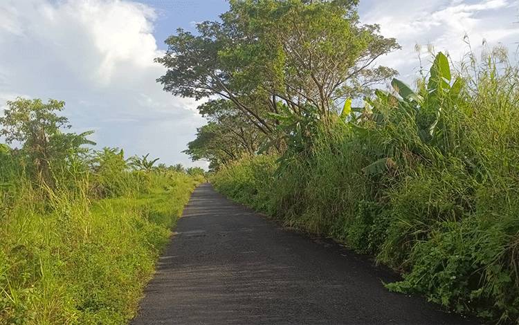 Ruas Jalan Lingkar Kota Kuala Pembuang Mengalami Penyempitan, Warga Minta Segera Dibersihkan