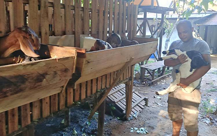 Dari Kandang CSR ke Panggung Kemandirian: Cerita Sukses Kelompok Podho Mulyo di Taniran