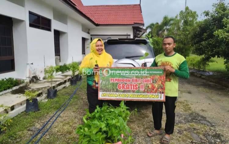 Lapas Perempuan Palangka Raya Terima Bantuan Bibit Cabai untuk Program Ketahanan Pangan