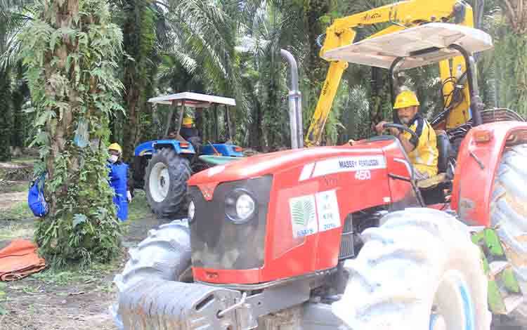 Pemerintah Perlu Dorong SDM Lokal Dukung Hilirisasi Sawit