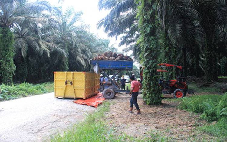 Pustaka Alam: Negara Tak Bisa Lagi Klaim Kawasan Hutan Berdasarkan Penunjukan