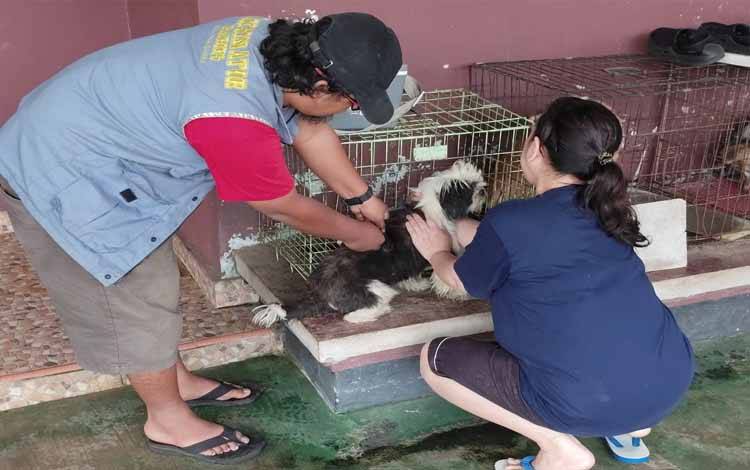 Vaksinasi Hewan Penular Rabies di Palangka Raya Capai 6.000 Ekor