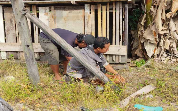 DPKP Palangka Raya Ajak Warga Aktif Kendalikan Rabies Lewat Vaksinasi