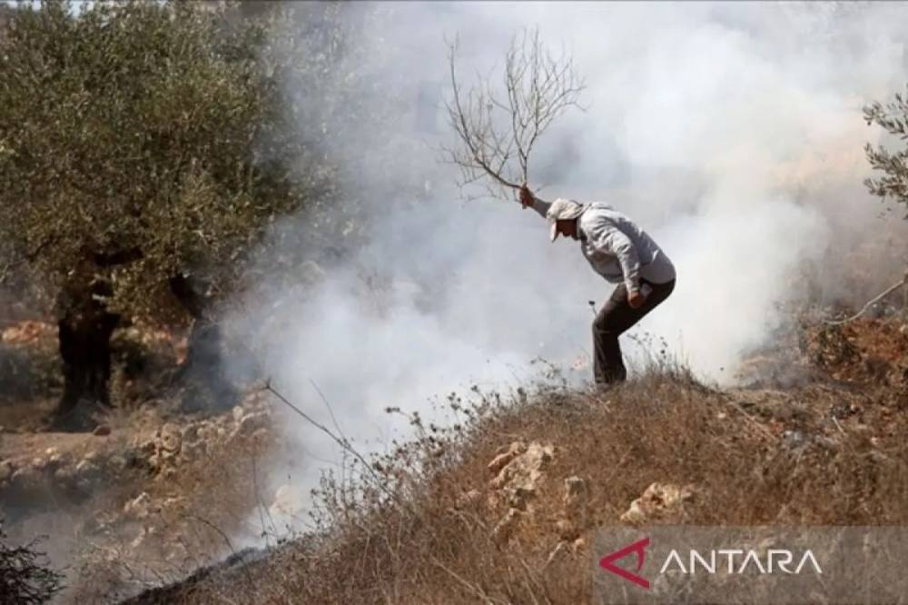 Indonesia-Spanyol Bahas Kerja Sama dan Pelindungan Budaya Palestina
