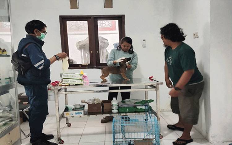 PDHI dan Pemko Palangka Raya Edukasi Pet Shop tentang Praktik Legal Perawatan Hewan