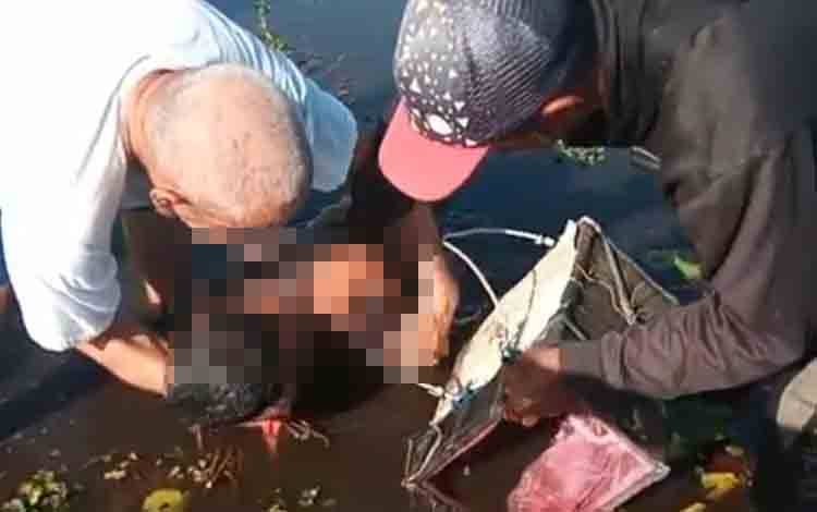 Pria Tanpa Identitas Ditemukan Tak Bernyawa di Rawa-Rawa Beruntung Baru Kalsel