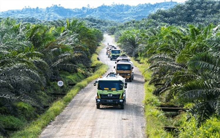 Sawit Indonesia Sumbang Devisa Ganda, Dorong Kekuatan Ekonomi Nasional