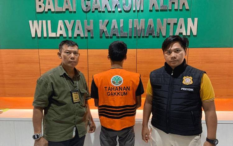 Kemenhut Tangkap Aktor Kasus Pembalakan Liar Ratusan Kayu