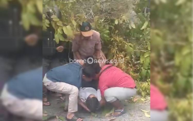Dua Orang Jadi Korban Pohon Tumbang di Palangka Raya
