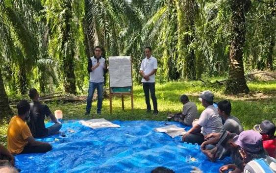 299 Petani Aceh Raih Sertifikasi RSPO, Didukung oleh Inisiatif Petani Sinar Mas Agribusiness and Food
