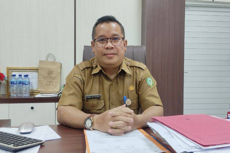 Kepala DPMPTSP Kotim Diana Setiawan. (ANTARA/Devita Maulina)