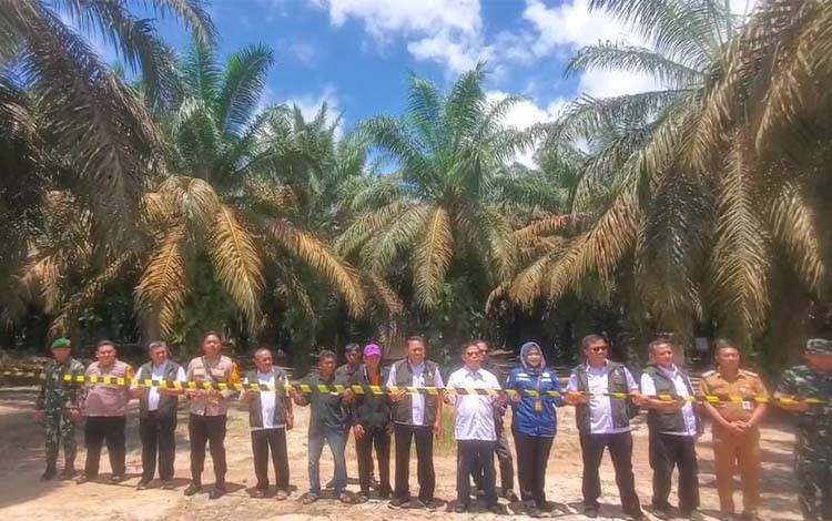 Guru Besar IPB Minta Kesalahan Nasionalisasi Gula Tidak Terjadi pada Industri Sawit