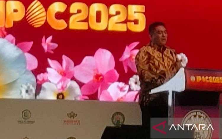 Pemerintah Sederhanakan Regulasi Percepat Peremajaan Sawit Rakyat