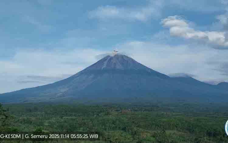Gunung Semeru Kembali Erupsi dengan Tinggi Letusan 800 Meter