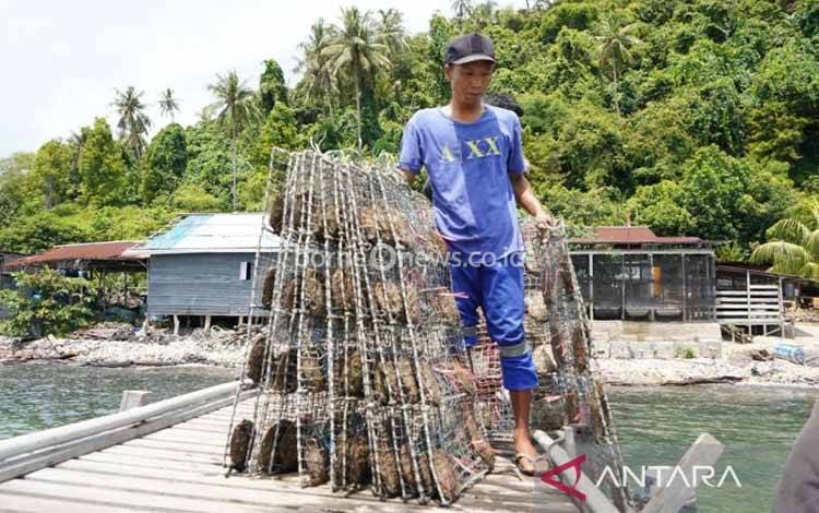 PSDKP Pontianak Tindak Pelanggaran Budi Daya Mutiara