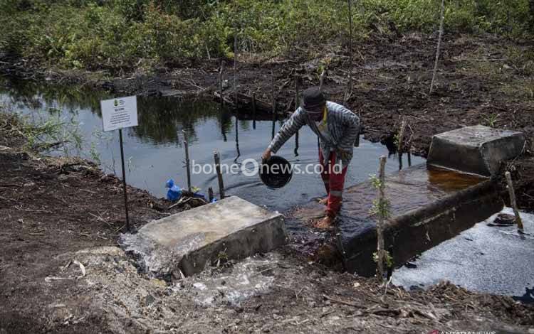 Desealing Soil untuk Mengembalikan Napas Kota