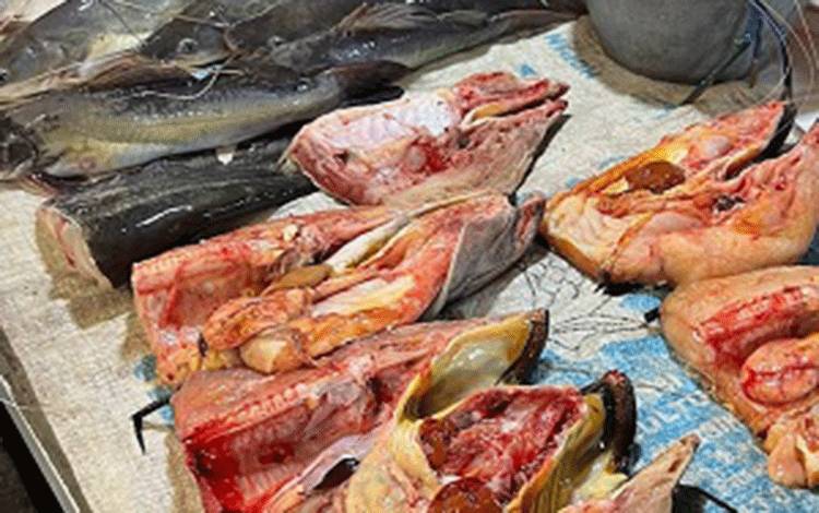DPRD Palangka Raya Imbau Nelayan Tidak Gunakan Racun Ikan