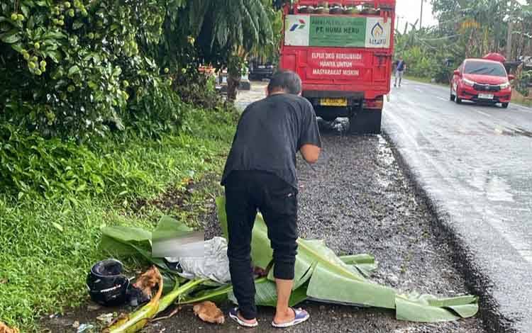 Dikira Tewas Tertutup Daun Pisang, Korban Lakalantas di Basarang Kapuas Kritis