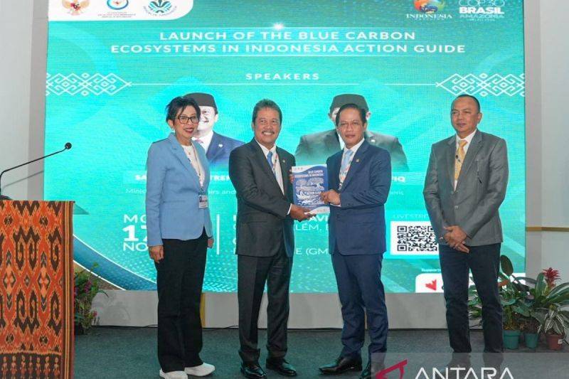 Pemerintah Luncurkan Peta Jalan Panduan Aksi Ekosistem Karbon Biru