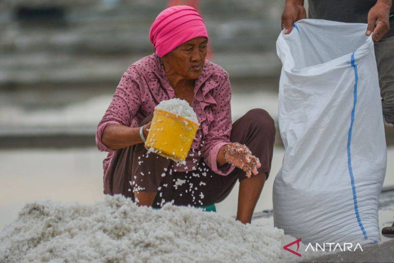 Pemerintah Kucurkan Rp10 T untuk KUR Berbasis Kekayaan Intelektual