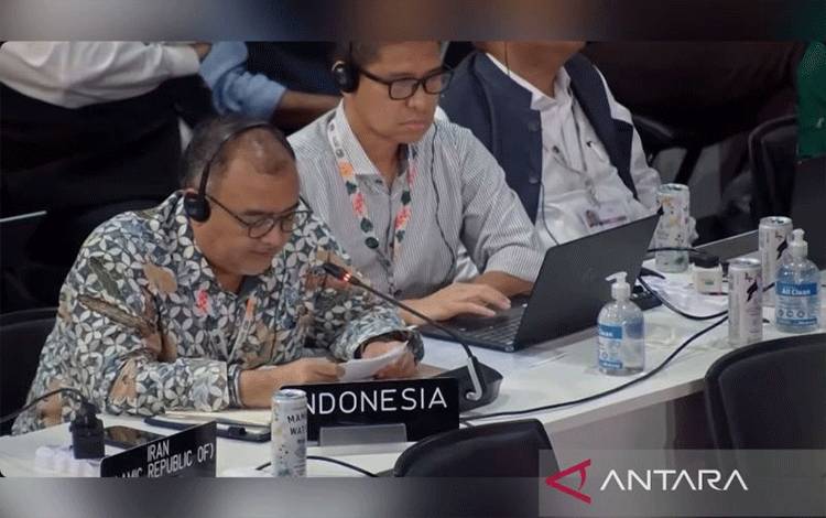Indonesia Belum Sejalan Data Terpilah Belem Gender Action Plan