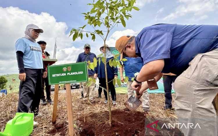 Kemenhut Tanam 1,3 Juta Bibit Pohon Lewat Skema Rehab hingga November