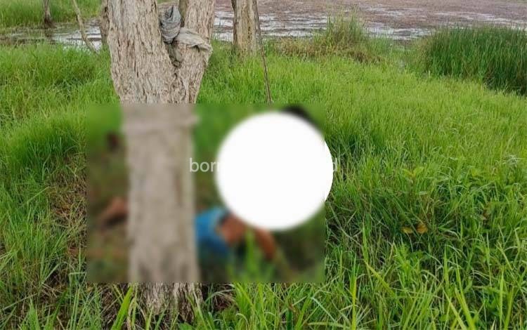 Geger, Petani di Jejangkit Batola Ditemukan Tewas Tergantung di Tepi Sawah