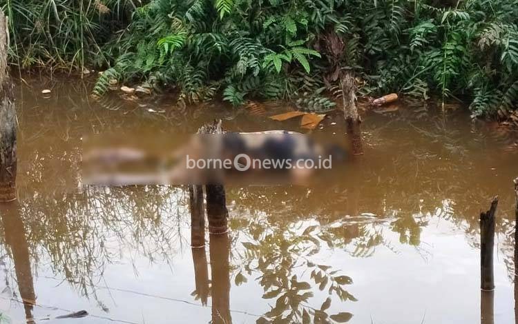 Mayat Pria Tanpa Identitas Ditemukan Mengapung di Parit Pulang Pisau