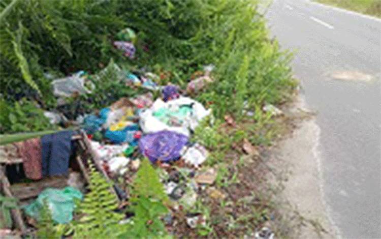 BKSDA Sampit Menduga Tumpukan Sampah Jadi Pemicu Kemunculan Beruang di Wengga-Bumi Raya