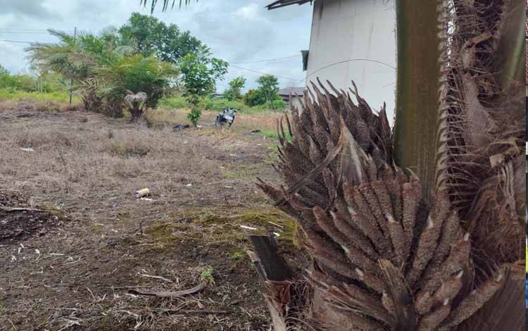 Masyarakat Sejahtera, Kebun Terjaga, Sinergi Perusahaan dan Pemda Jadi Kunci