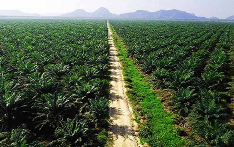 Iklim Investasi di Kalteng Kondusif, Sinergi Pemda dan Perusahaan Dorong Kesejahteraan Masyarakat