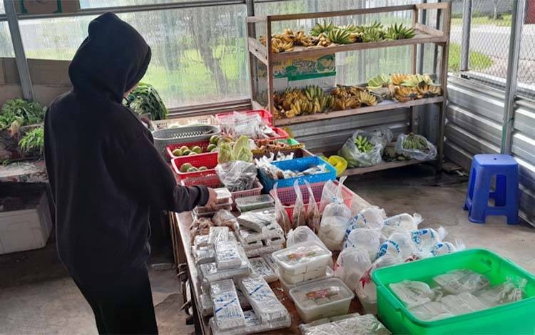 Pemko Palangka Raya Diminta Antisipasi Harga Sayuran Meroket di Penghujung Tahun