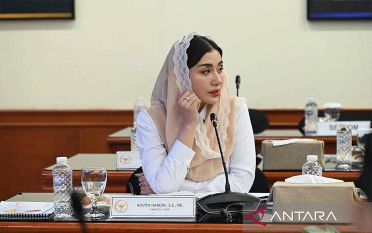 Anggota DPR: Alih Lahan Untuk Sawit Ancam Kedaulatan Pangan-industri