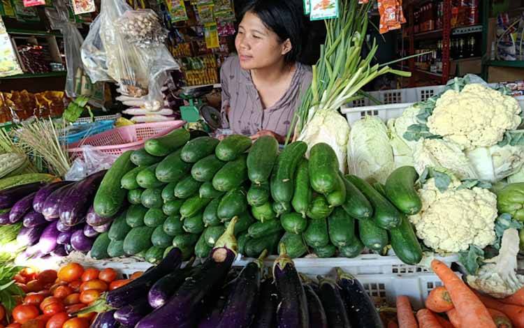 Dewan Dorong Pemko Palangka Raya, Pastikan Harga Sayuran Aman Penghujung Tahun