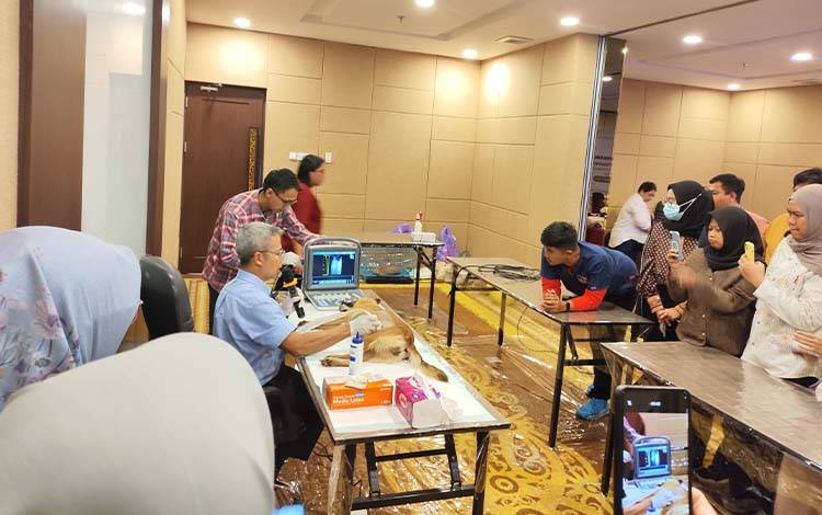 Hadirkan Dosen Radiologi ITB, Dokter Hewan Kalteng Terima Ikuti Workshop USG
