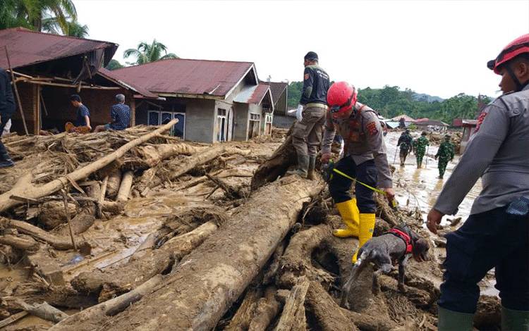 BPBD Agam: Korban Meninggal Dunia Bertambah Jadi 186 Orang