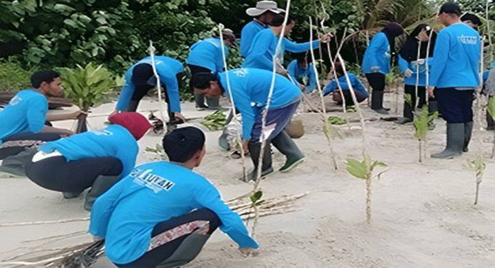 Pemprov Kalteng Dorong Edukasi Lingkungan Lewat Pelatihan dan Penanaman Mangrove