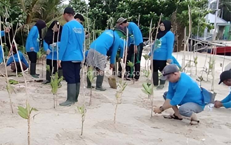 Pelatihan dan Penanaman Mangrove di Sukamara Dorong Pelestarian Ekosistem Kawasan