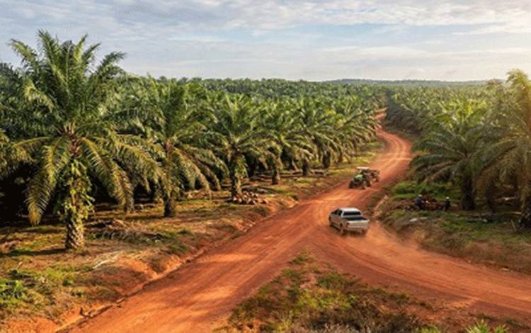 Kehadiran Perusahaan Sawit di Desa Palangan Dorong Pertumbuhan Ekonomi dan Pembangunan