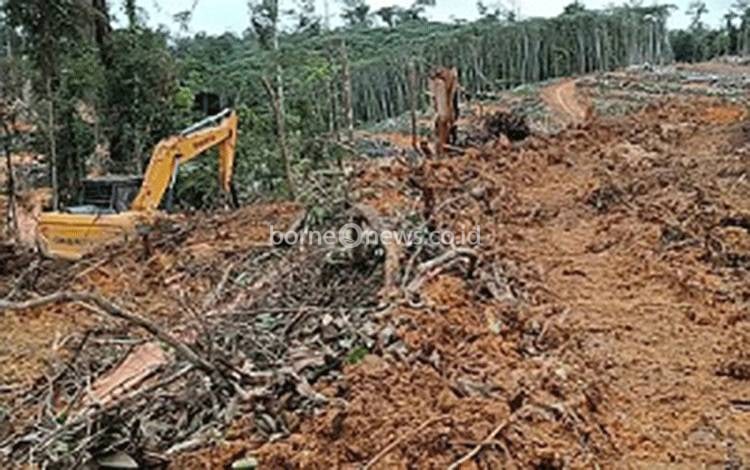 Berkaca dari Bencana di Sumatera dan Aceh, DAD Kotim Desak Pencabutan Izin PT BSL
